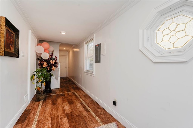 149 Forest St, Staten Island, NY 10314 - hallway featuring wood finished floors, baseboards, crown molding, electric panel, and recessed lighting