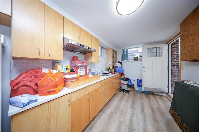 kitchen featuring light wood-style floors, light countertops, and under cabinet range hood