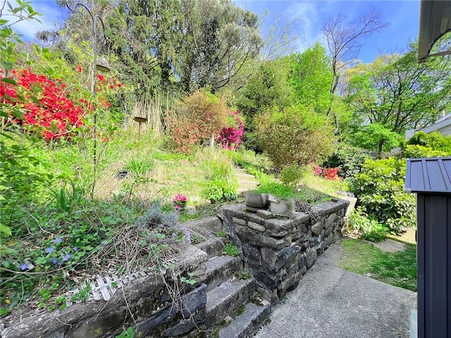 333 Lafayette Ave, Staten Island, NY 10301 - view of yard