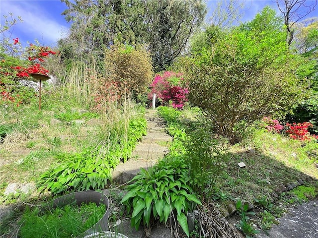 333 Lafayette Ave, Staten Island, NY 10301 - view of yard