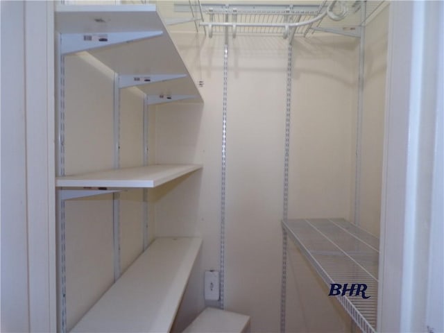 view of walk in closet