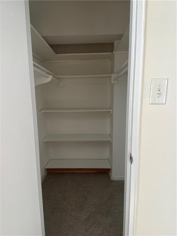 735 Avenue W Unit 1M, Brooklyn, NY 11223 - walk in closet with carpet