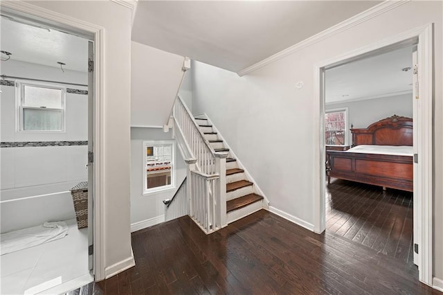 stairs with baseboards, ornamental molding, and hardwood / wood-style floors