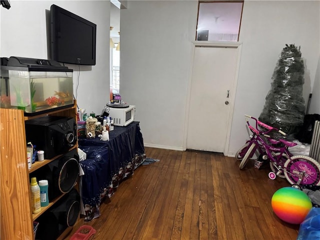 interior space featuring hardwood / wood-style flooring