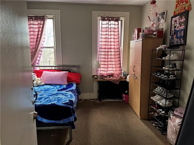 373 Bleecker St, Brooklyn, NY 11237 - carpeted bedroom with multiple windows and radiator heating unit
