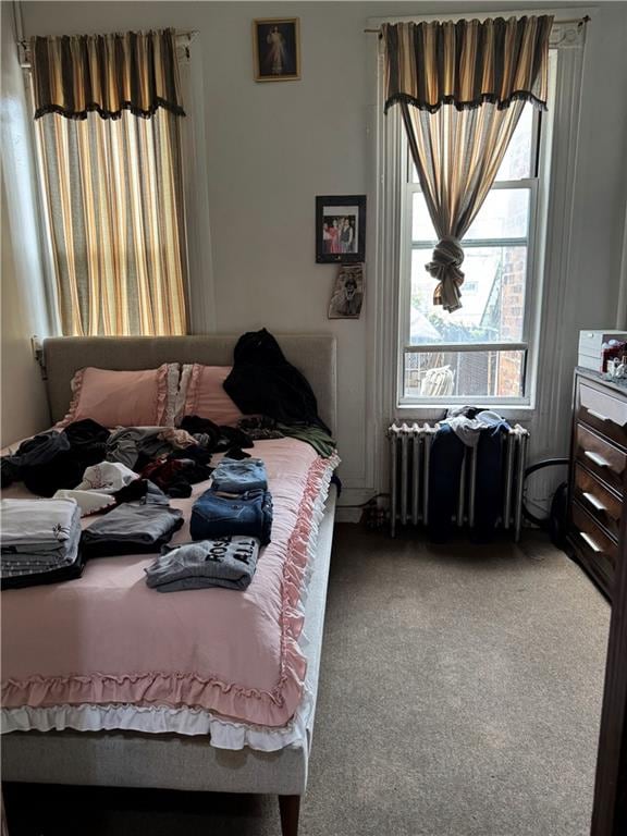 373 Bleecker St, Brooklyn, NY 11237 - bedroom featuring radiator and carpet