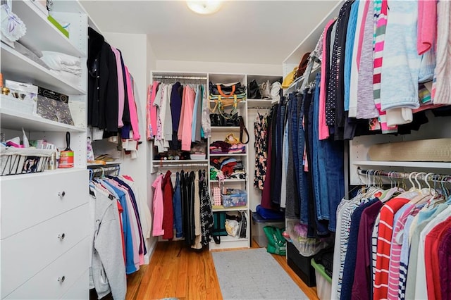 spacious closet featuring wood finished floors