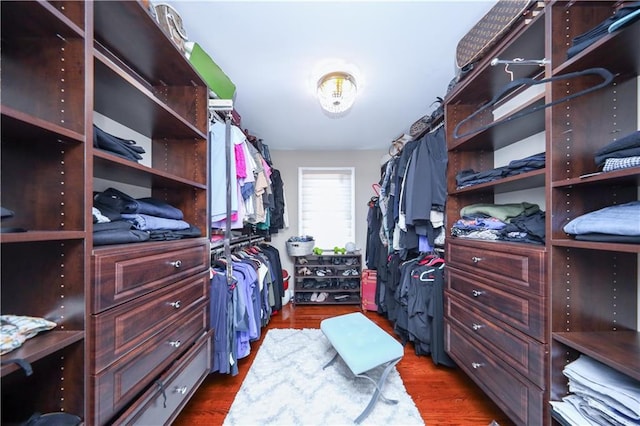 walk in closet featuring dark wood-type flooring