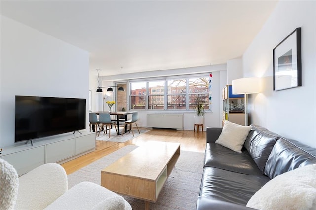 living room featuring wood finished floors
