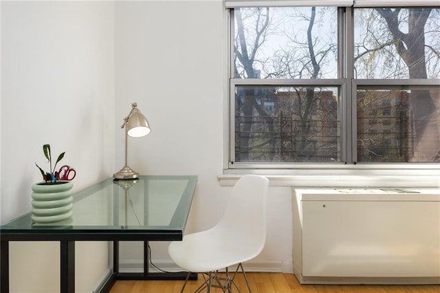 interior space with wood finished floors