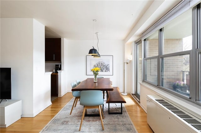dining space featuring radiator, a healthy amount of sunlight, and light wood-style flooring