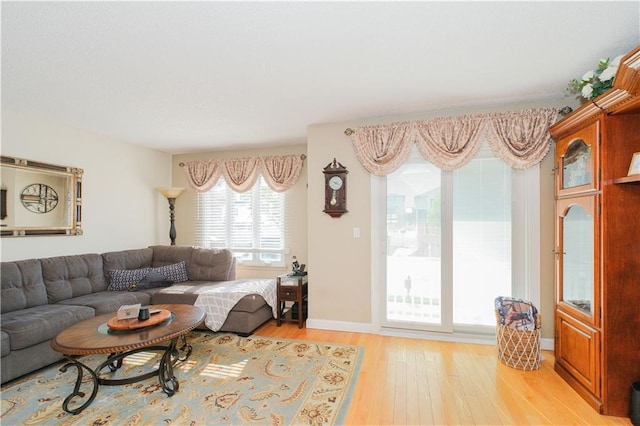 living room featuring light wood finished floors