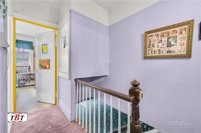2052 E 28th St, Brooklyn, NY 11229 - hallway featuring carpet floors, an upstairs landing, and baseboards