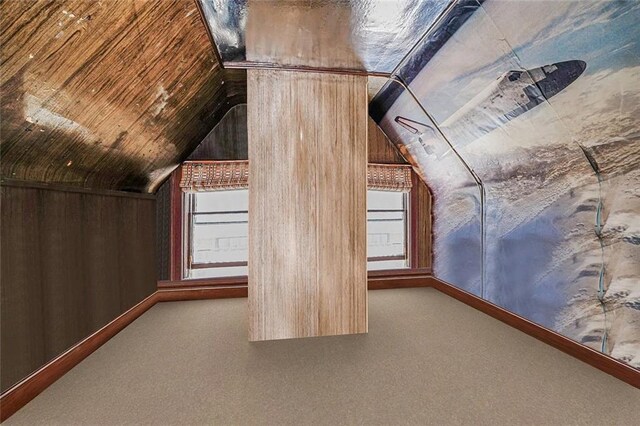 222 Albemarle Rd, Brooklyn, NY 11218 - bonus room featuring vaulted ceiling, carpet floors, wooden walls, plenty of natural light, and baseboards