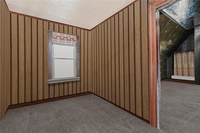 222 Albemarle Rd, Brooklyn, NY 11218 - unfurnished room with carpet floors and lofted ceiling