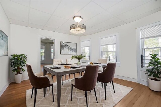 222 Albemarle Rd, Brooklyn, NY 11218 - dining space featuring light wood-style flooring, healthy amount of natural light, and a paneled ceiling