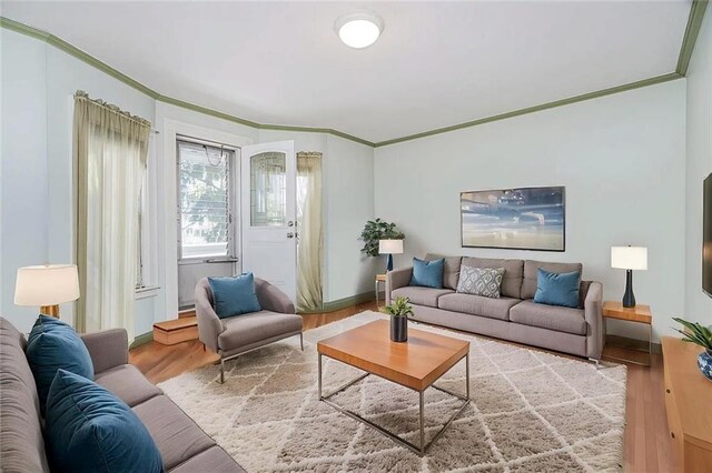 222 Albemarle Rd, Brooklyn, NY 11218 - living area with crown molding, wood finished floors, and baseboards
