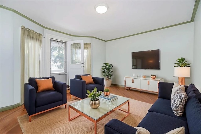 222 Albemarle Rd, Brooklyn, NY 11218 - living area featuring crown molding, wood finished floors, and baseboards