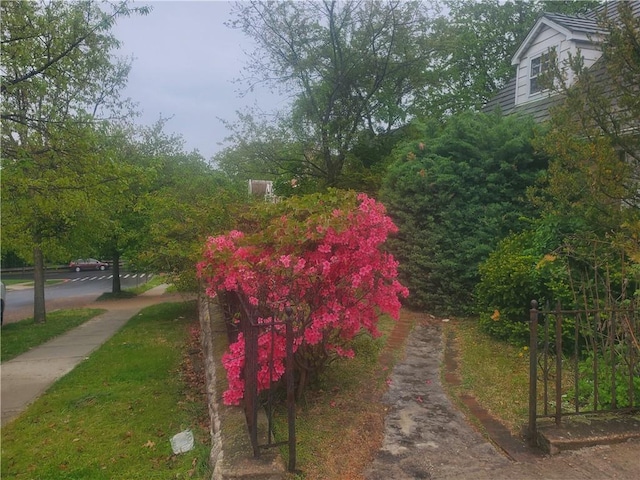 view of home's community