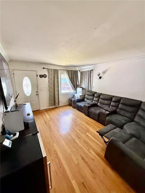 living room with light wood-style flooring