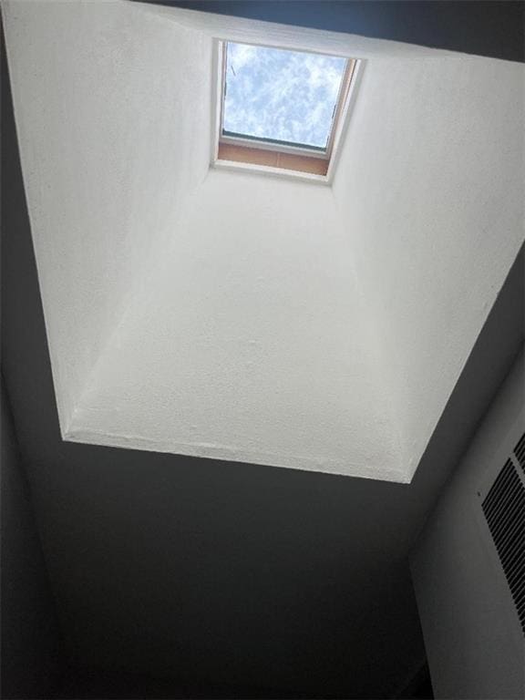 details featuring a skylight