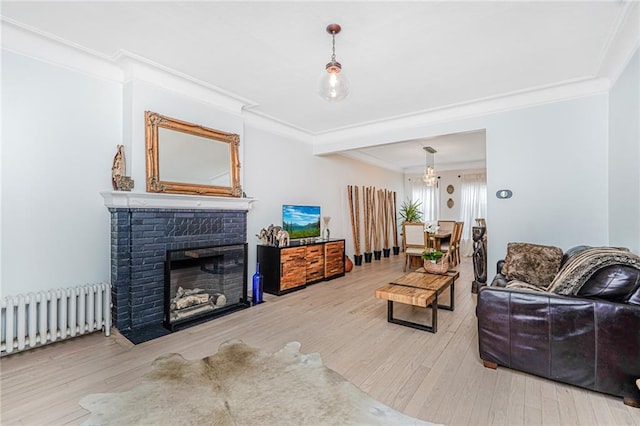 138 Wakeman Pl, Brooklyn, NY 11220 - living area with radiator heating unit, crown molding, wood finished floors, and a fireplace