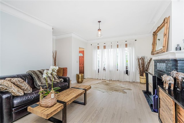 138 Wakeman Pl, Brooklyn, NY 11220 - living area with ornamental molding, light wood-style floors, and a fireplace