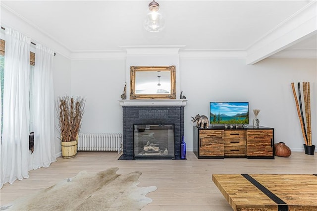 138 Wakeman Pl, Brooklyn, NY 11220 - living room with radiator heating unit, crown molding, wood finished floors, and a brick fireplace