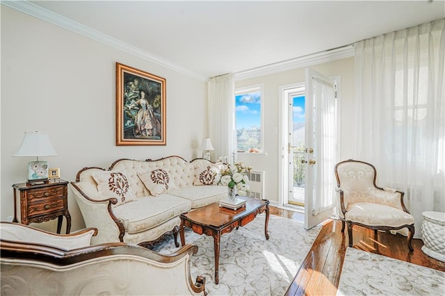 167 Bay 32nd St, Brooklyn, NY 11214 - living room with wood finished floors, radiator heating unit, and crown molding