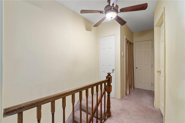 2472 Stuart St, Brooklyn, NY 11229 - hallway with light carpet and an upstairs landing