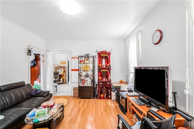 living area featuring light wood-type flooring and crown molding