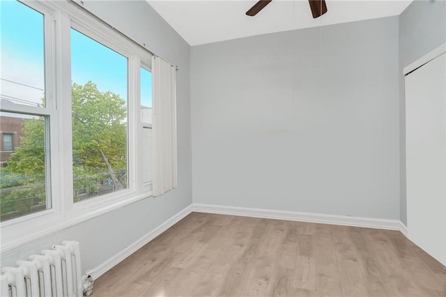 1113 68th St, Brooklyn, NY 11219 - empty room featuring radiator, ceiling fan, light wood-type flooring, and baseboards