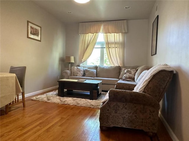 living room featuring wood-type flooring and baseboards