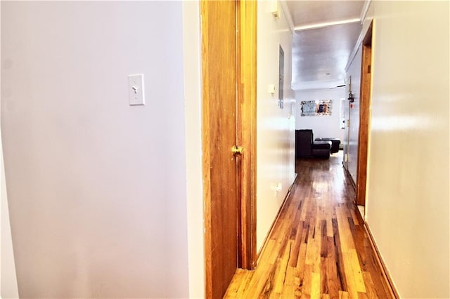 hallway featuring light wood-style floors
