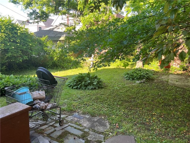 2233 E 16th St, Brooklyn, NY 11229 - view of grassy yard
