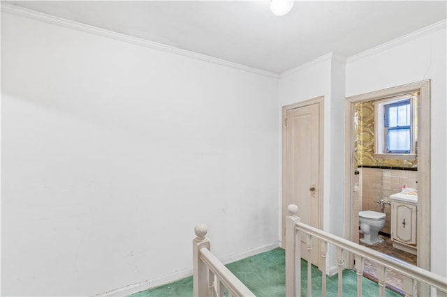 1484 E 16th St, Brooklyn, NY 11230 - bedroom featuring ornamental molding and carpet