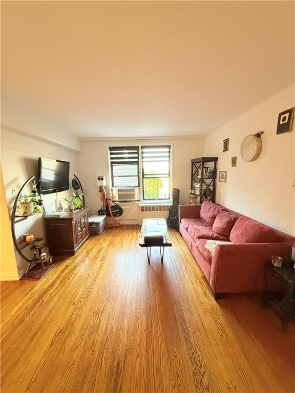9511 Shore Rd Unit 617, Brooklyn, NY 11209 - living room with light wood-style flooring and cooling unit