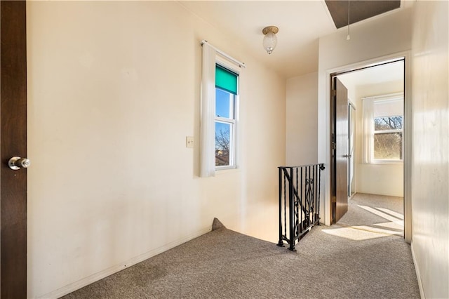 432 Neckar Ave, Staten Island, NY 10304 - hall featuring carpet flooring, an upstairs landing, and attic access