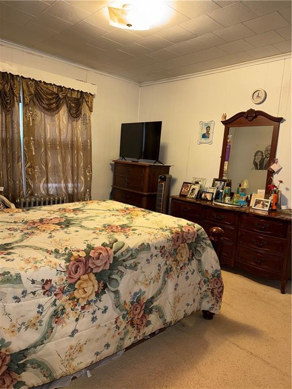 4515 Foster Ave, Brooklyn, NY 11203 - bedroom featuring ornamental molding and light carpet