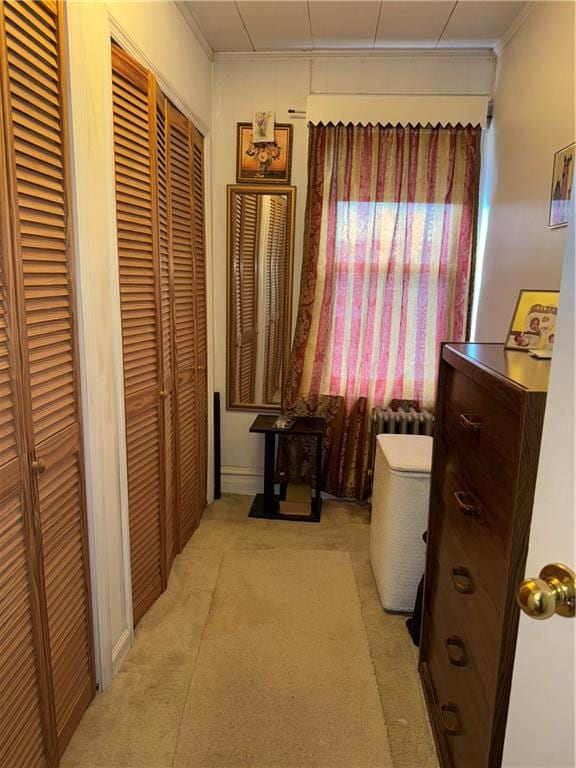 4515 Foster Ave, Brooklyn, NY 11203 - bedroom with light colored carpet and multiple closets