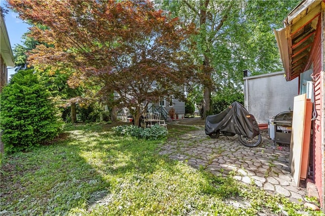 701 127th St, Queens, NY 11356 - view of green lawn featuring a patio