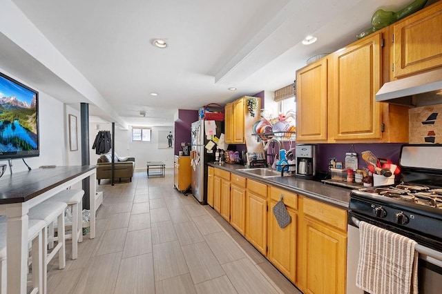 1436 78th St, Brooklyn, NY 11228 - kitchen featuring appliances with stainless steel finishes, a sink, dark countertops, recessed lighting, and under cabinet range hood