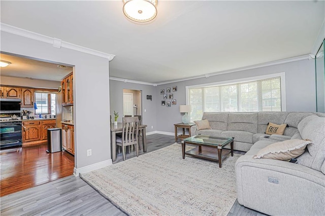 39 Morton St, Staten Island, NY 10306 - living area with ornamental molding, dark wood-style floors, and baseboards
