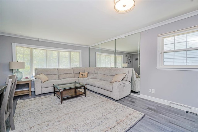39 Morton St, Staten Island, NY 10306 - living room featuring crown molding, wood finished floors, healthy amount of natural light, and baseboards