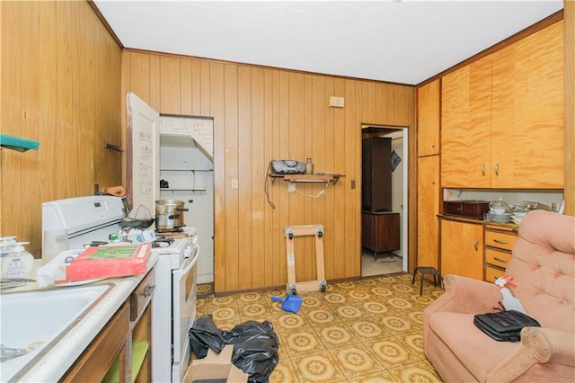 660 85th St, Brooklyn, NY 11228 - kitchen with white range with electric stovetop and wooden walls