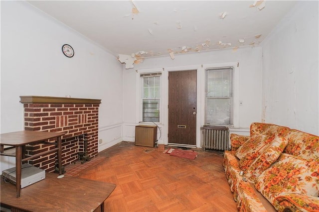 660 85th St, Brooklyn, NY 11228 - living area with radiator heating unit and a fireplace