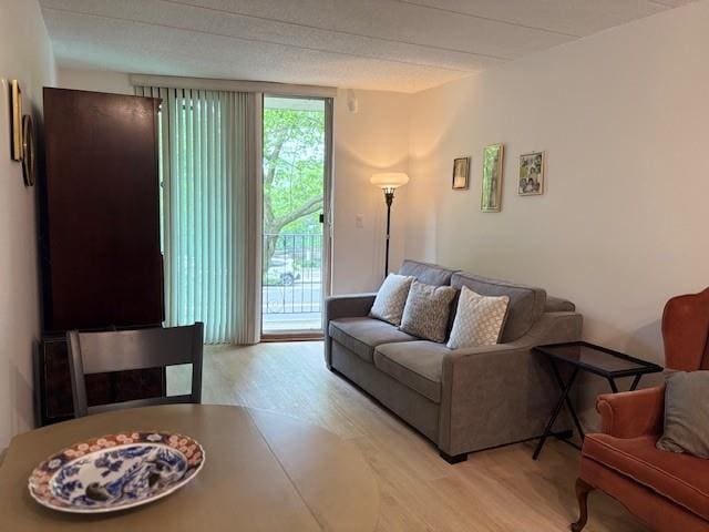 9977 Shore Rd Unit 11C, Brooklyn, NY 11209 - living area with light wood finished floors