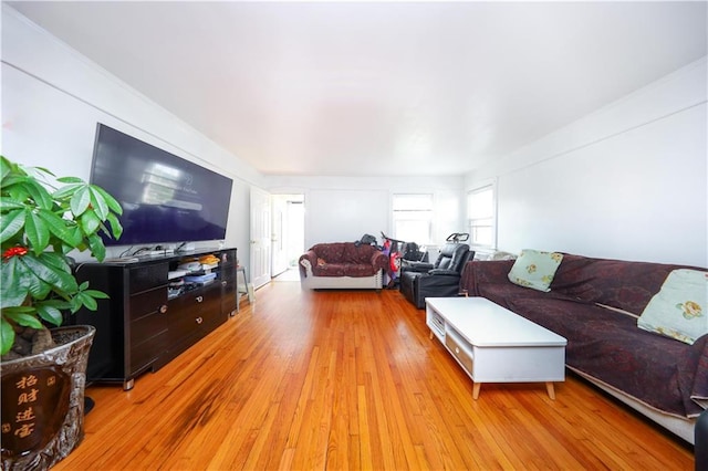 50 Glenwood Ave, Staten Island, NY 10301 - living area with hardwood / wood-style floors