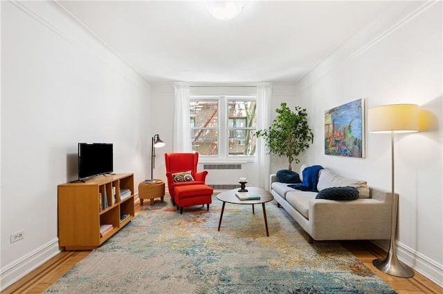 385 Argyle Rd Unit 4A, Brooklyn, NY 11218 - living area featuring radiator and wood finished floors