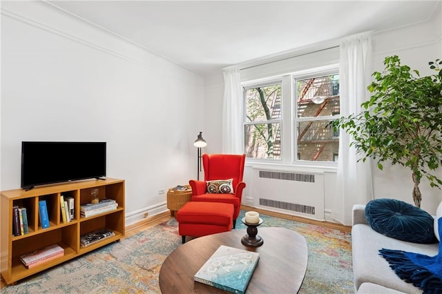 385 Argyle Rd Unit 4A, Brooklyn, NY 11218 - living room featuring radiator heating unit and wood finished floors
